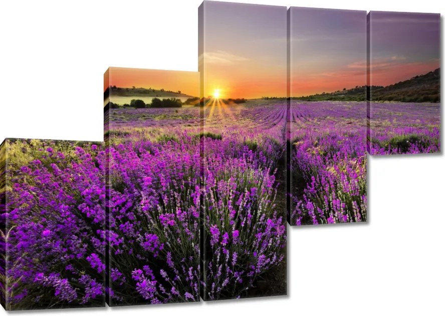 Vászonkép 150x105 Levendulamező Nyugat