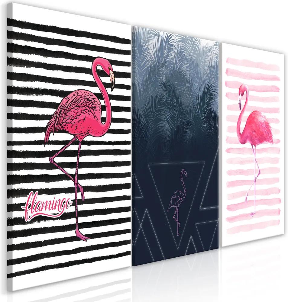 Kép - Flamingos (Collection)