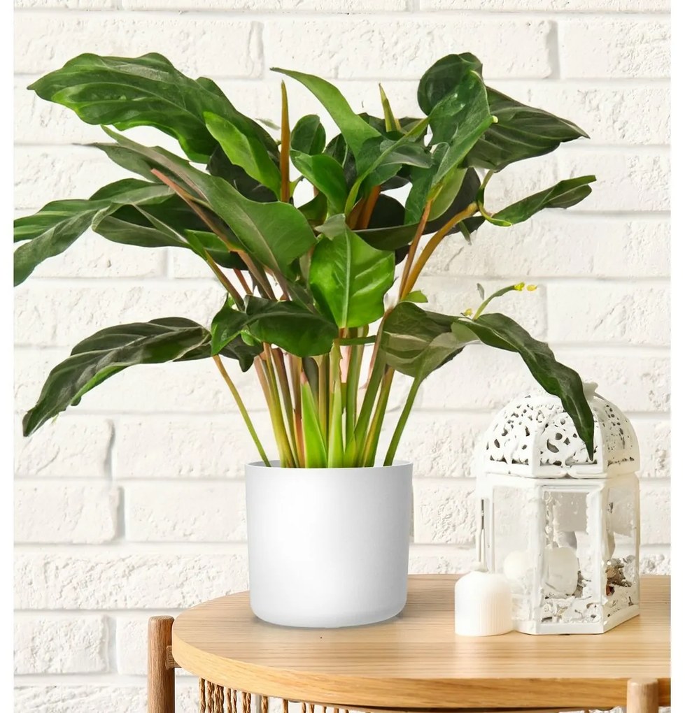 Gardenico Lora virágcserép  fehér, átmérő 35 cm , 35 cm átmérőjű