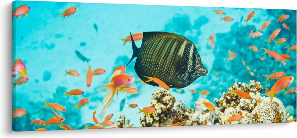 A víz alatti világ képe (120x50 cm)