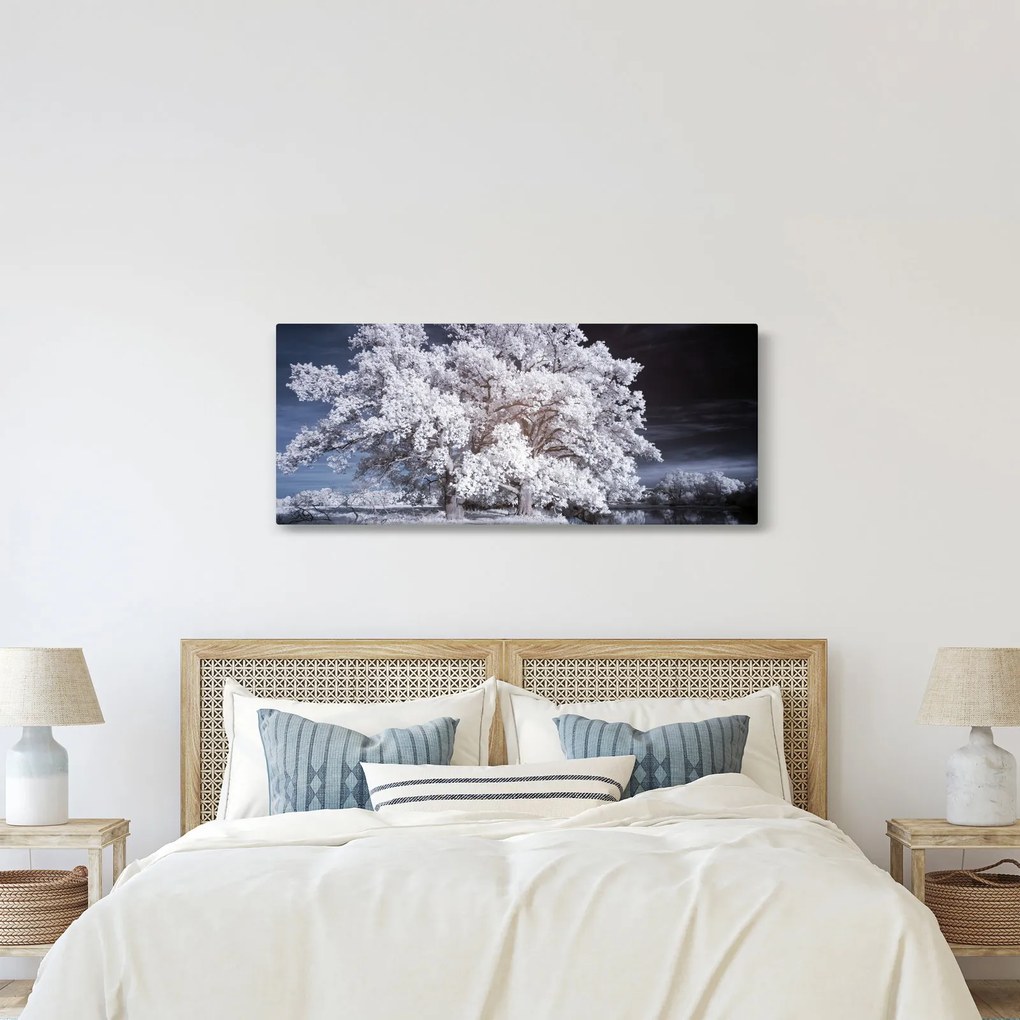 Kép - Hófehérke fa (120x50 cm)