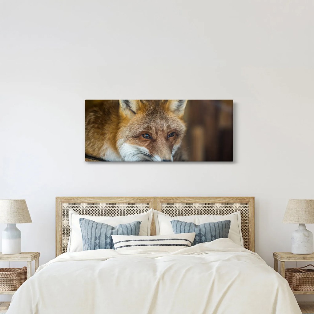Róka képe (120x50 cm)
