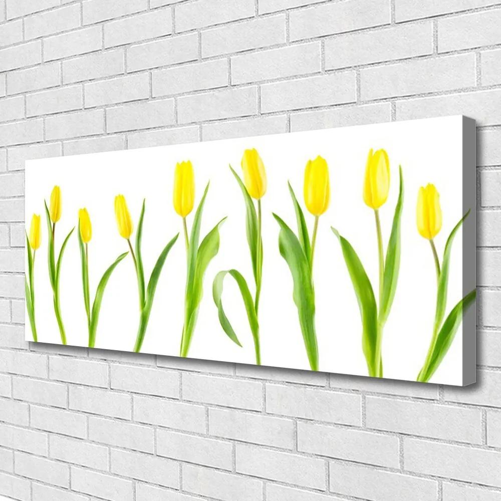 Vászonkép Tulipán sárga virágok 120x60 cm