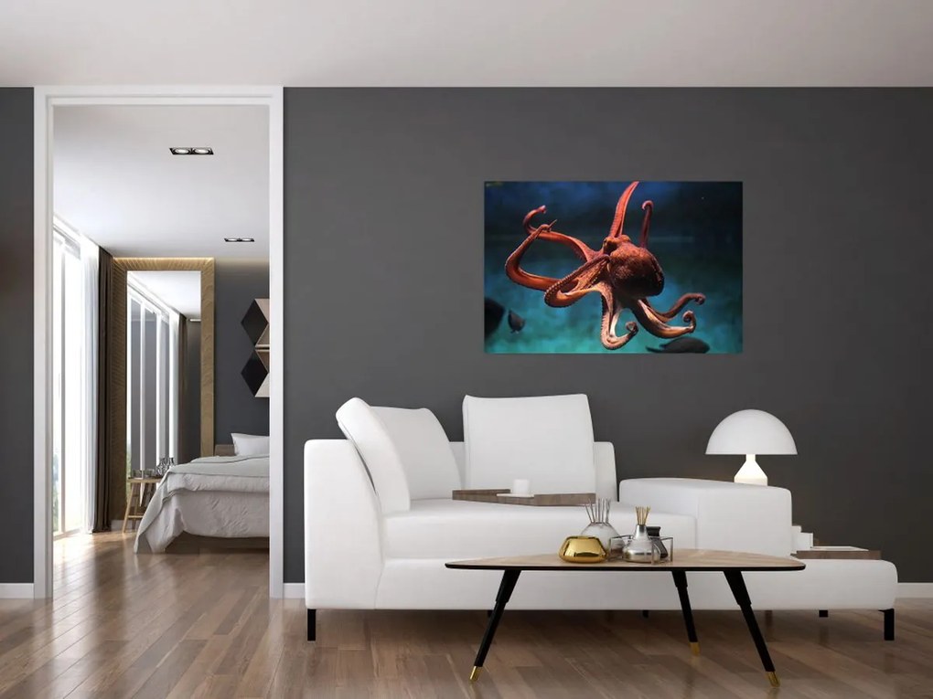 Kép - Octopus (90x60 cm)