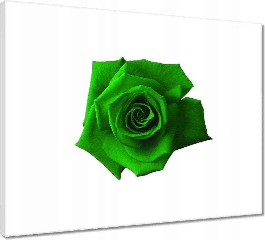 Vászonkép 50x40 Nőnap Ajándék Love