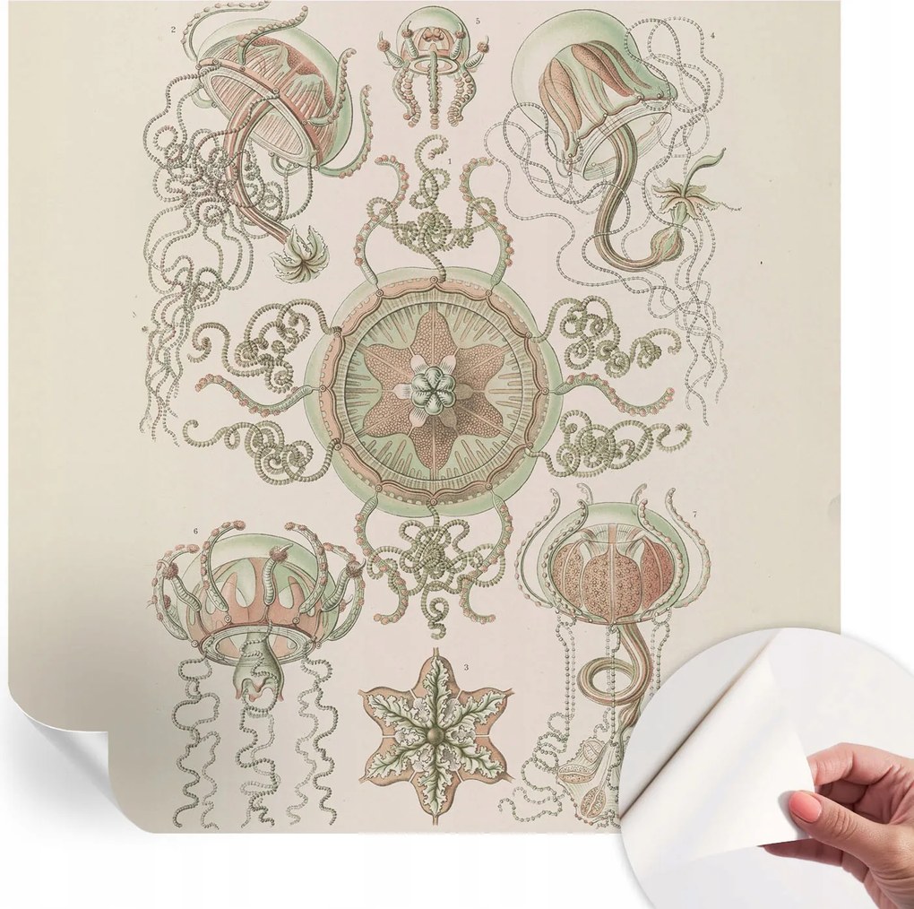 Design fali fotótapéta öntapadós víz alatti világ 250x250 cm