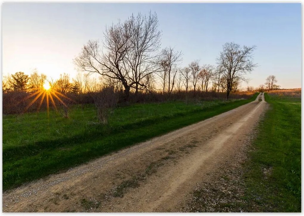 Poszterek 100x70 Mezei út Fák Mezők