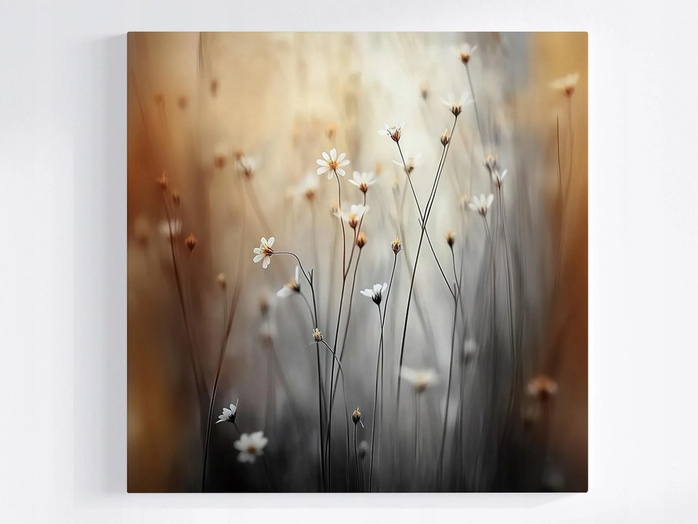 Vászonkép Canvas Reggel Rét Virágok Margaréta Kamilla Bokeh 80x80