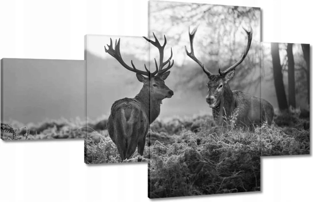 Vászonkép 130x80 Fekete-fehér szarvasok