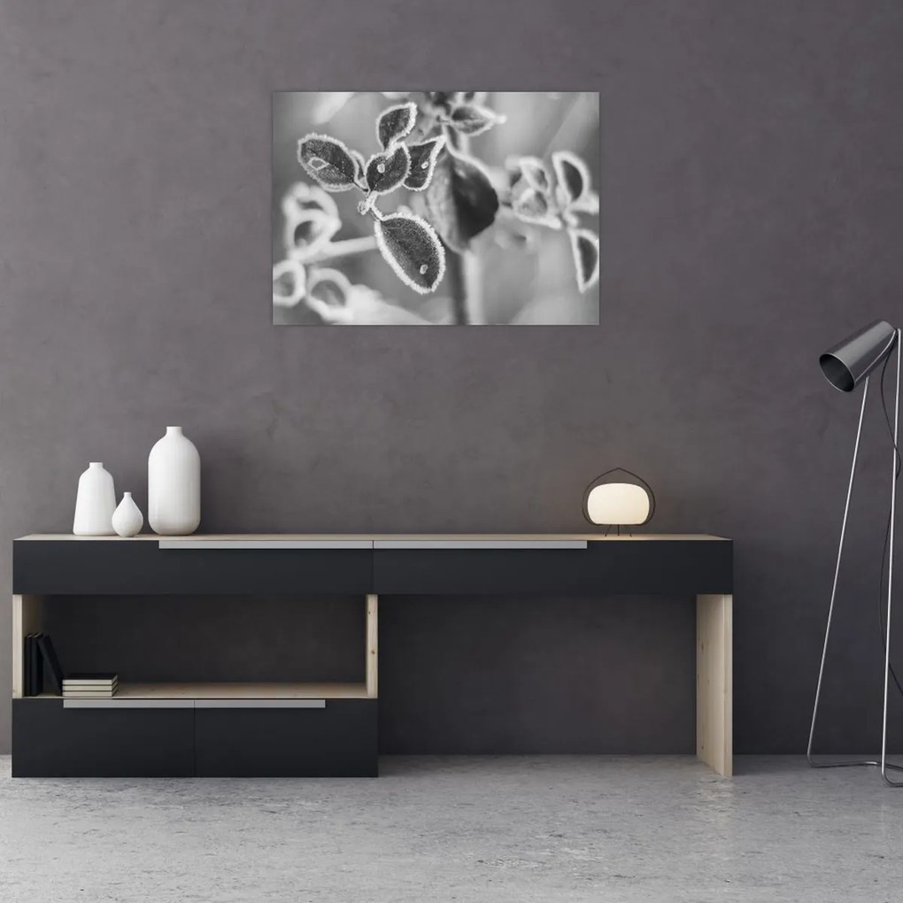 Üveg kép - Őszi természet (70x50 cm)