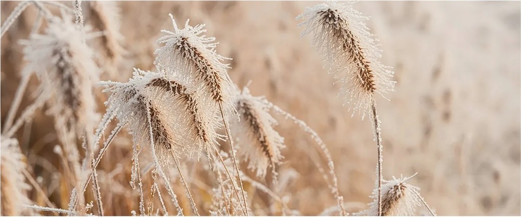 Fotótapéta Flizelin Dekoratív Hálószoba Téli tájkép 250x104 Ragasztó