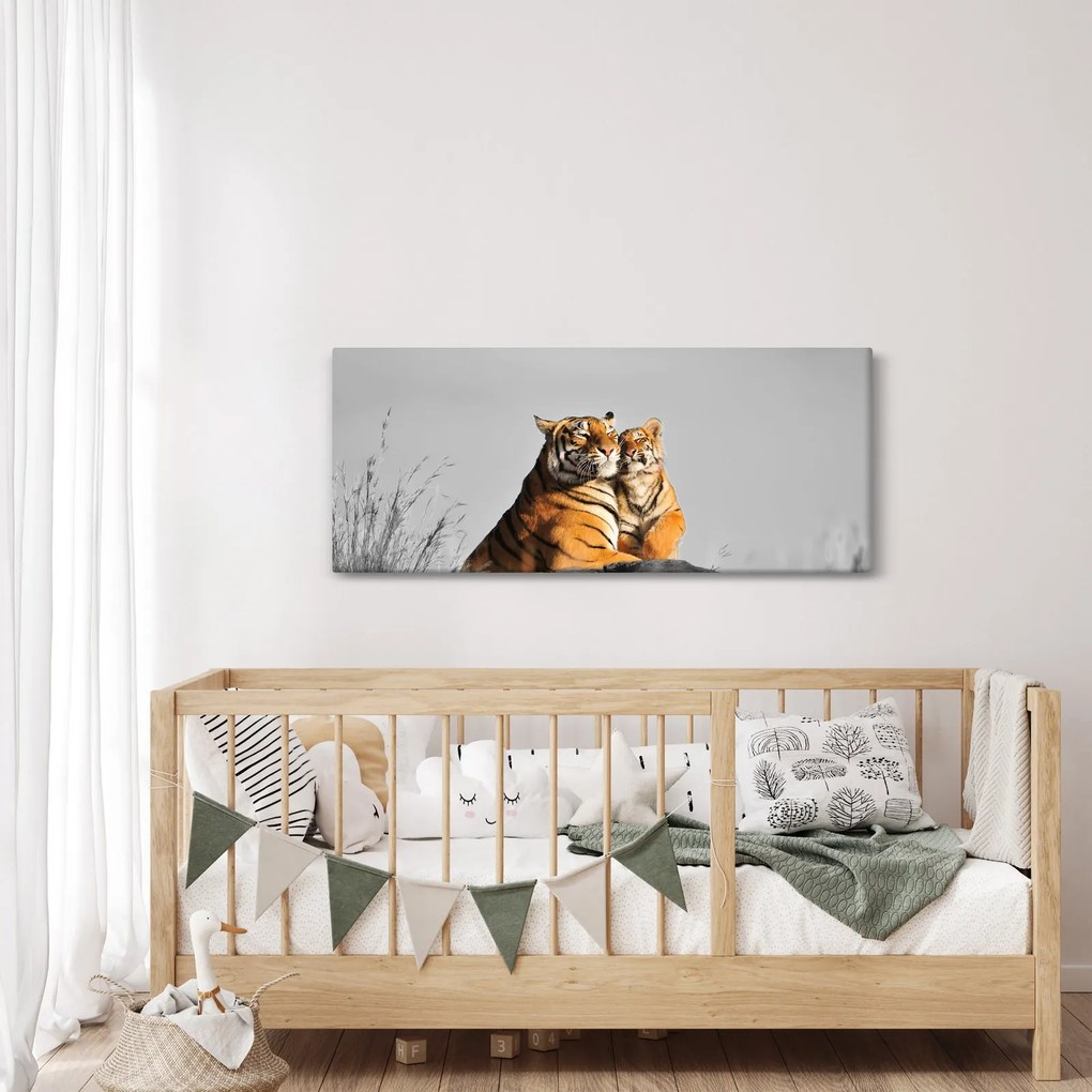 Kép - Tigris és a kölyke, fekete-fehér változat (120x50 cm)