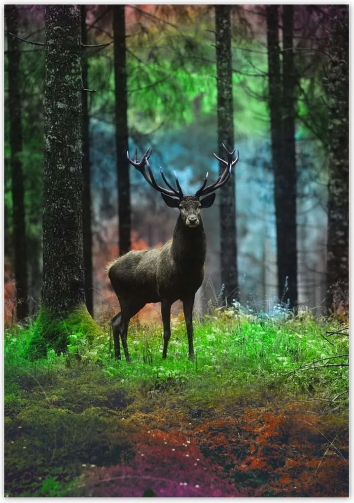 Poszterek 70x100 Szarvas a mesés erdőben