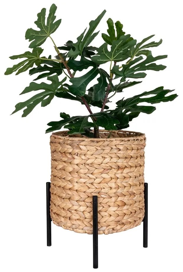 Vízijácint virágcserép ø 24 cm Antas – House Nordic