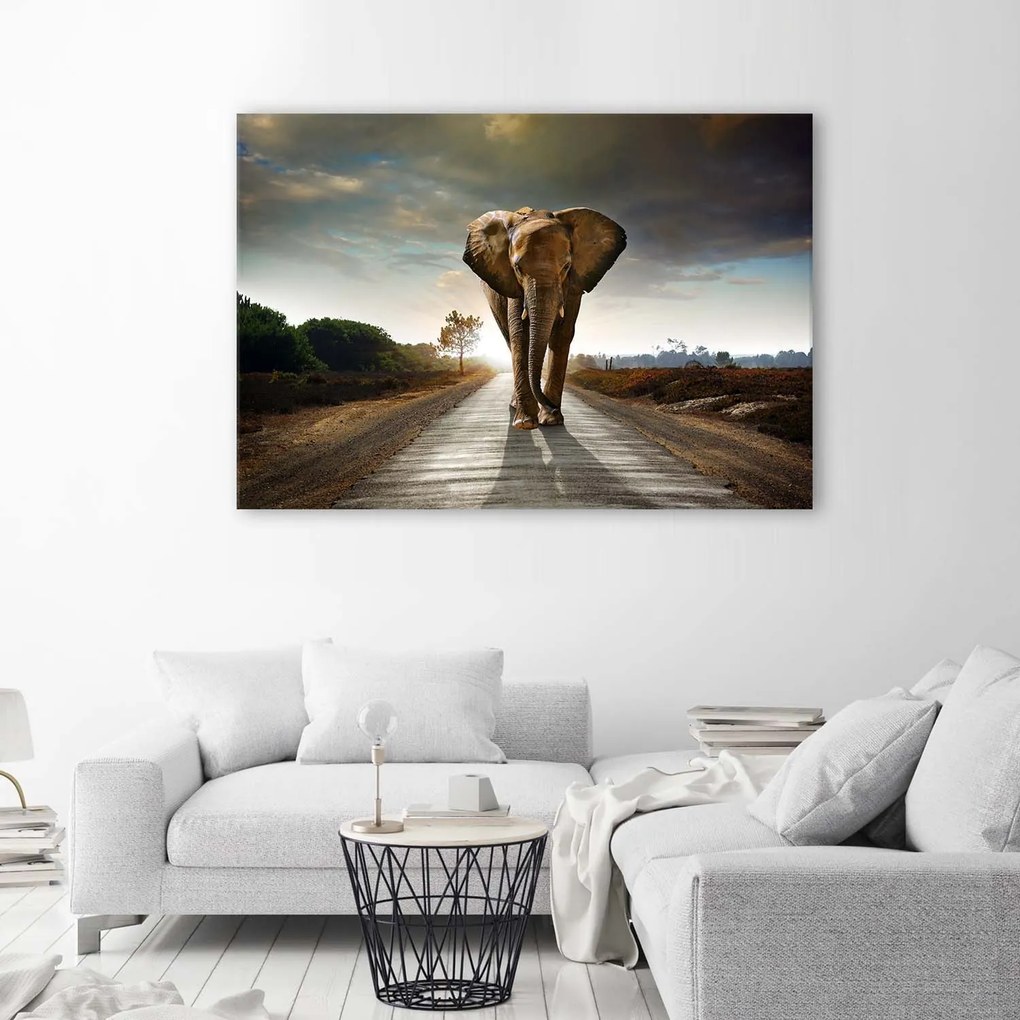 Gario Vászonkép Vándorló elefánt Méret: 100 x 70 cm