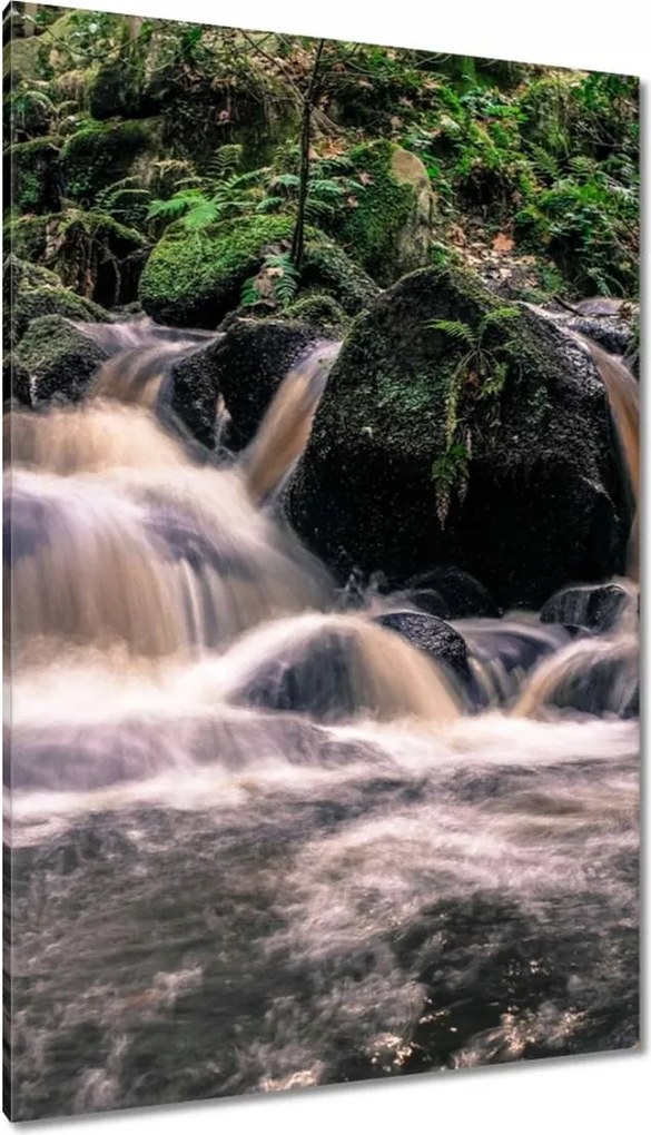 Vászonkép 80x120 Hegyi folyó