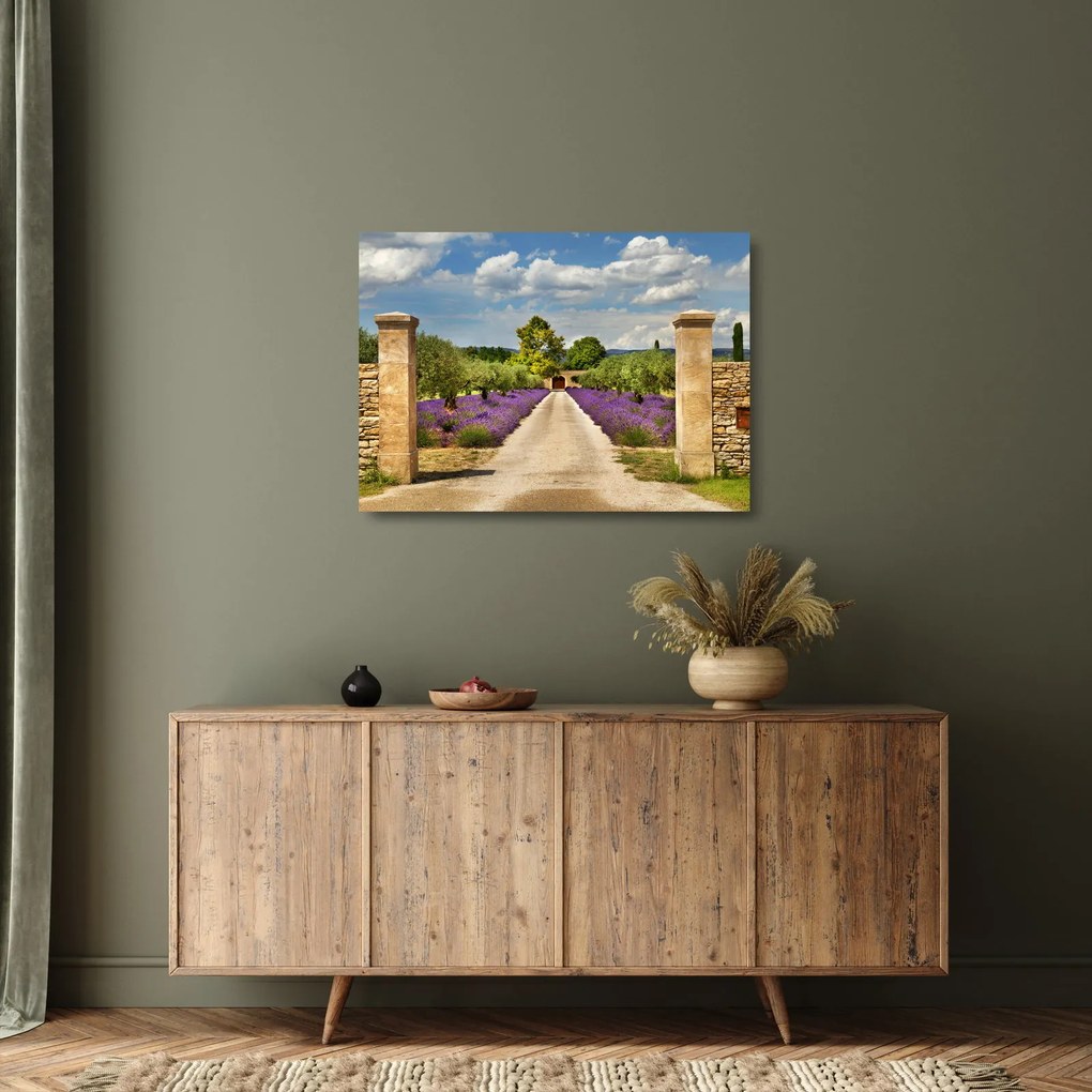 Üveg kép - Levendula ösvények (70x50 cm)