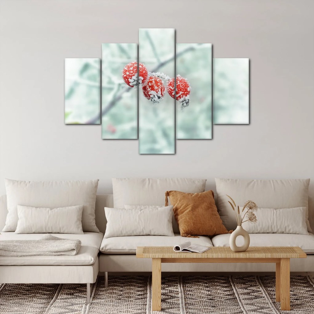 Fagyasztott csipkebogyó képe (150x105 cm)