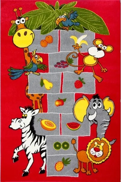 Kolibri szőnyeg 11120-120