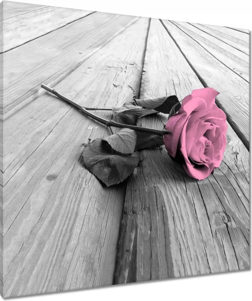 Vászonkép 80x80 Púderrózsa a deszkákon