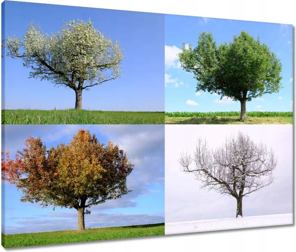 Vászonkép 80x60 Négy évszak Fa