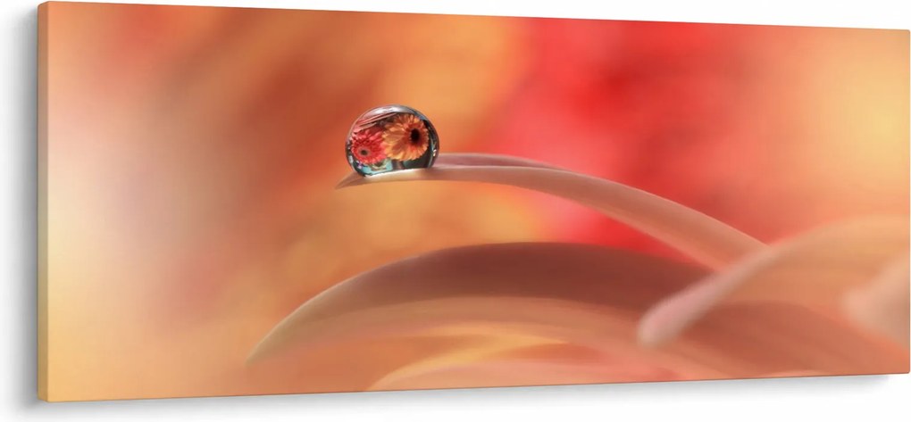 Virágos harmatcsepp képe (120x50 cm)