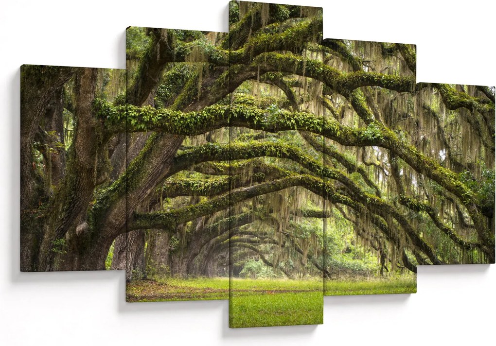 Kép - Oaks Avenue, Charleston, Dél-Karolina, Egyesült Államok (150x105 cm)