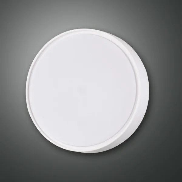 Fabas 3229/61/102 - ipari lámpa HATTON 1xE27/42W/230V IP65