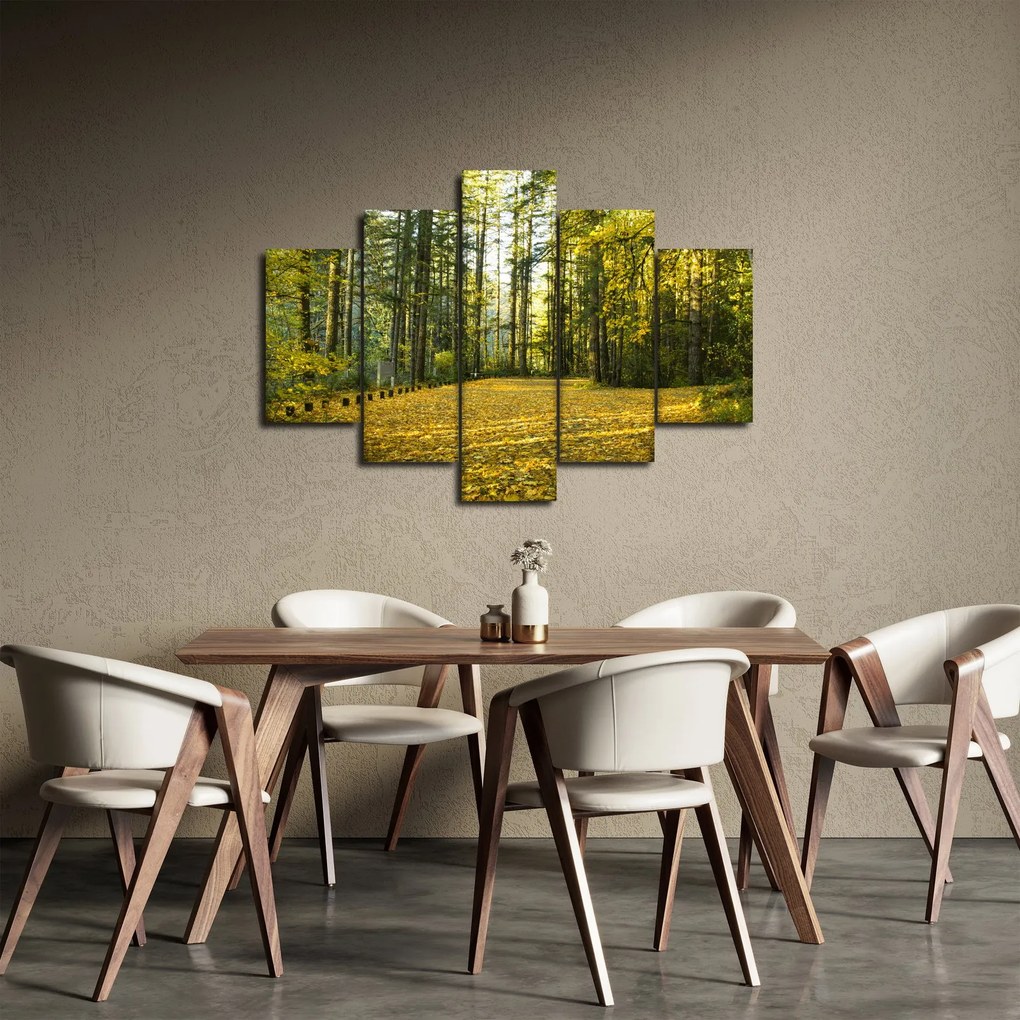 Kép - erdő ősszel (150x105 cm)