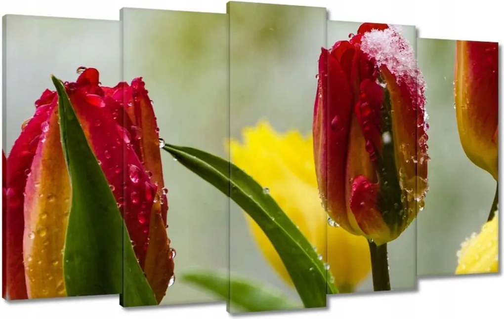 Vászonkép 100x60 Tulipánok Virágok