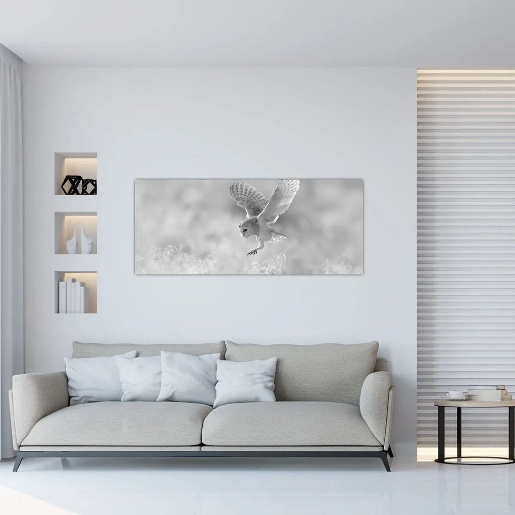Kép - Bagoly a mezőn (120x50 cm)