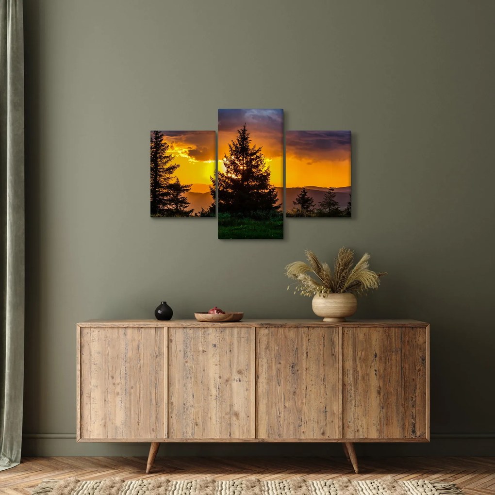 Kép - tűlevelűek (90x60 cm)