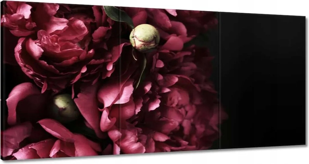 Vászonkép 180x90 Gyönyörű lila bazsarózsa