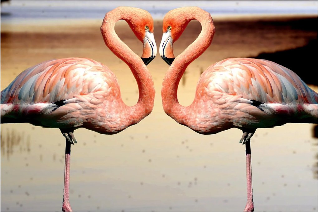 Kép - két flamingó (90x60 cm)