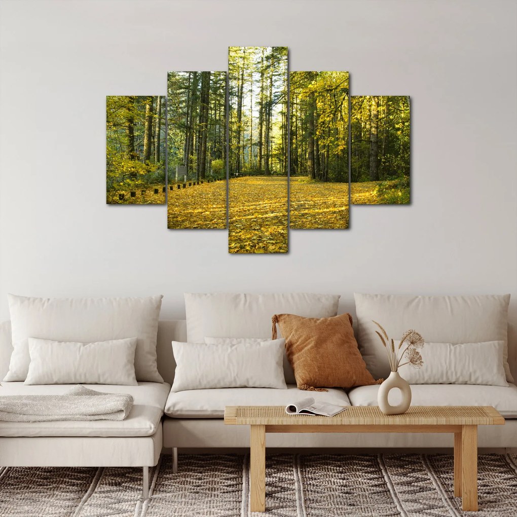 Kép - erdő ősszel (150x105 cm)