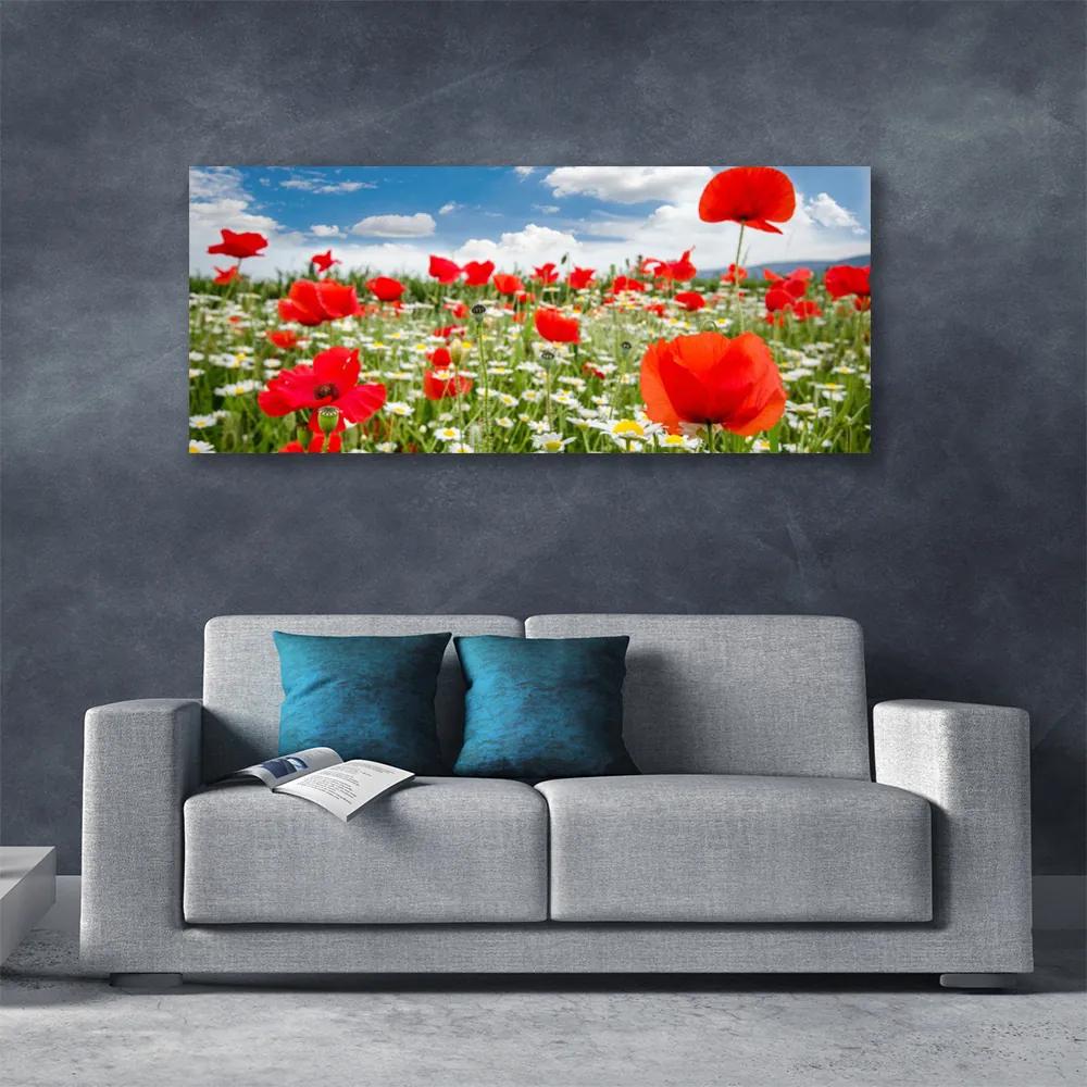 Vászonkép falra Mezei virágok Természet 100x50 cm