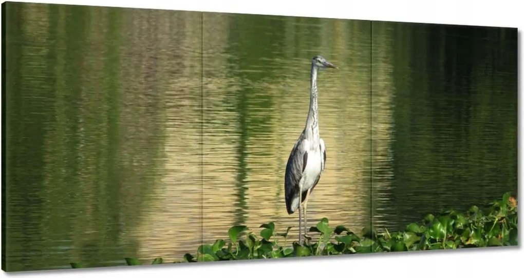 Vászonkép 180x90 Kalapos madár Tájkép Kilátás