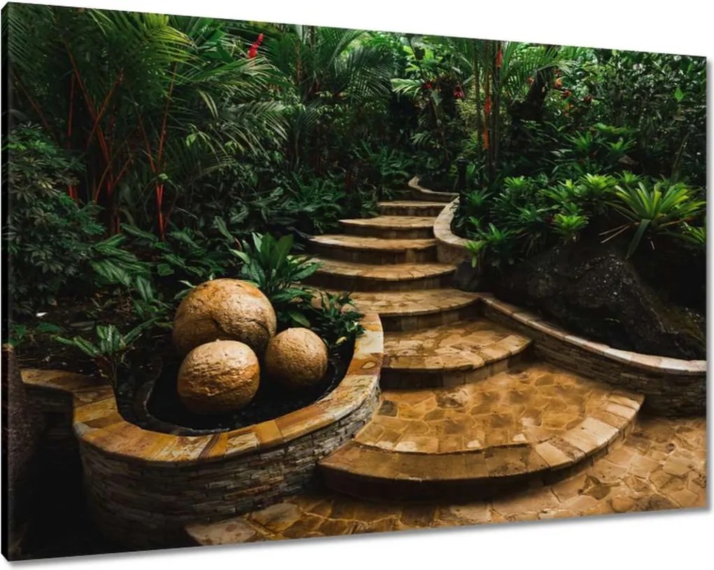 Vászonkép 100x70 Trópusi golyók