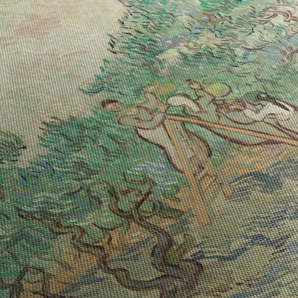 Kép - Vincent van Gogh, The Olive Orchard, reprodukciók (90x60 cm)