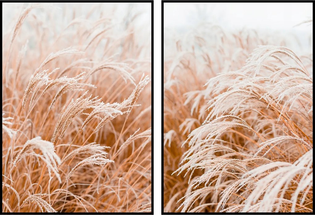 Skandináv poszter képek 2db fű 60x90cm