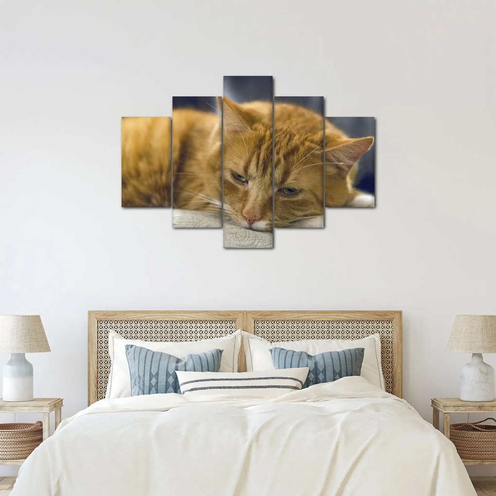 Macska képe (150x105 cm)