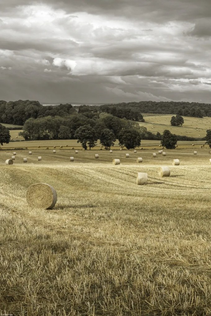 Poszter 30x45cm Szénakazalok a mezőkön 3, Assaf Frank