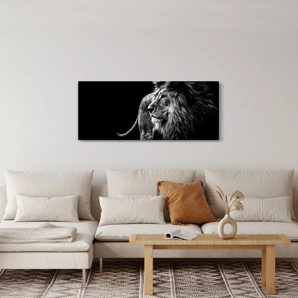 Kép - Oroszlán, fekete-fehér (120x50 cm)