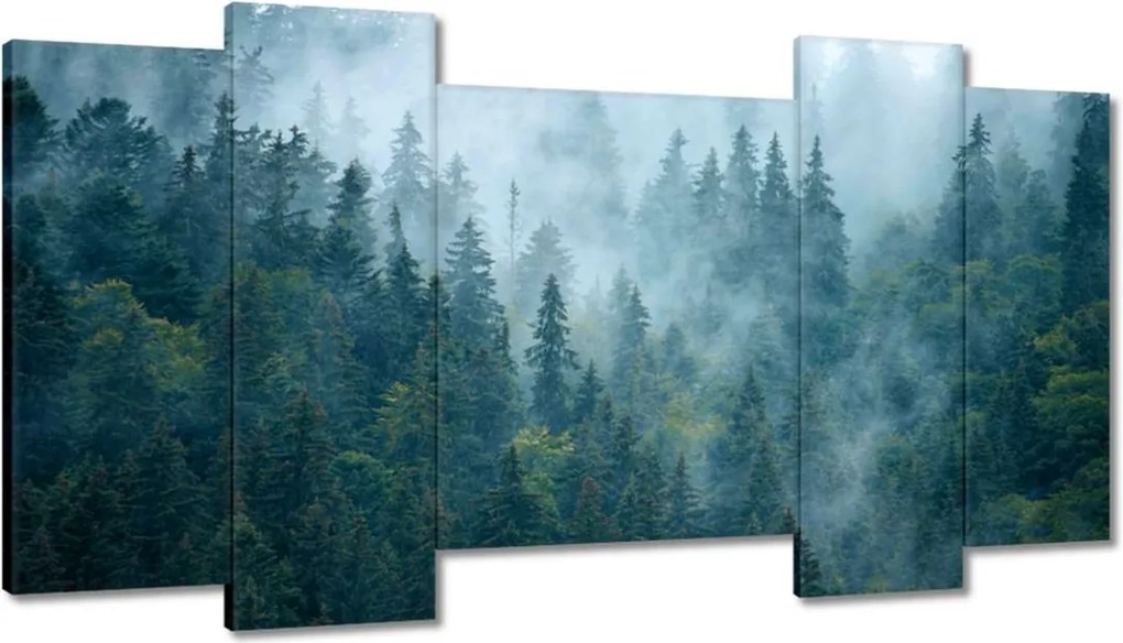 Képek 120x65 Erdő a ködben Utazás