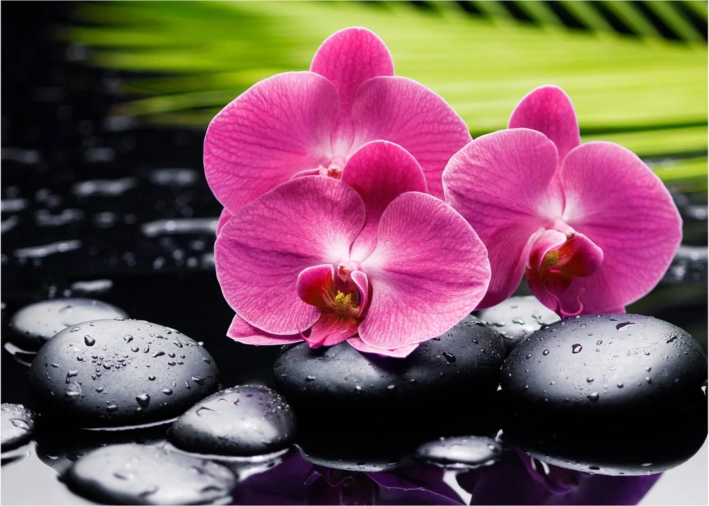 Kép - Rózsaszín orchidea pálmalevéllel (70x50 cm)