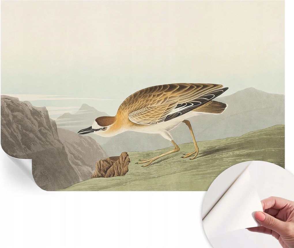 Öntapadós Dekoratív Fotótapéta Hálószobába Hegyi madár 104x70 cm