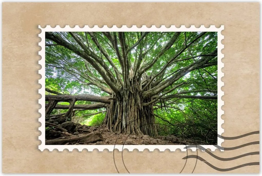 Poszterek 90x60 Fa Kilátás