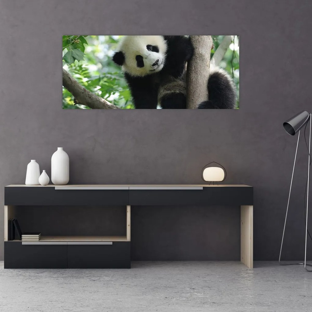 Kép - Panda a fán (120x50 cm)