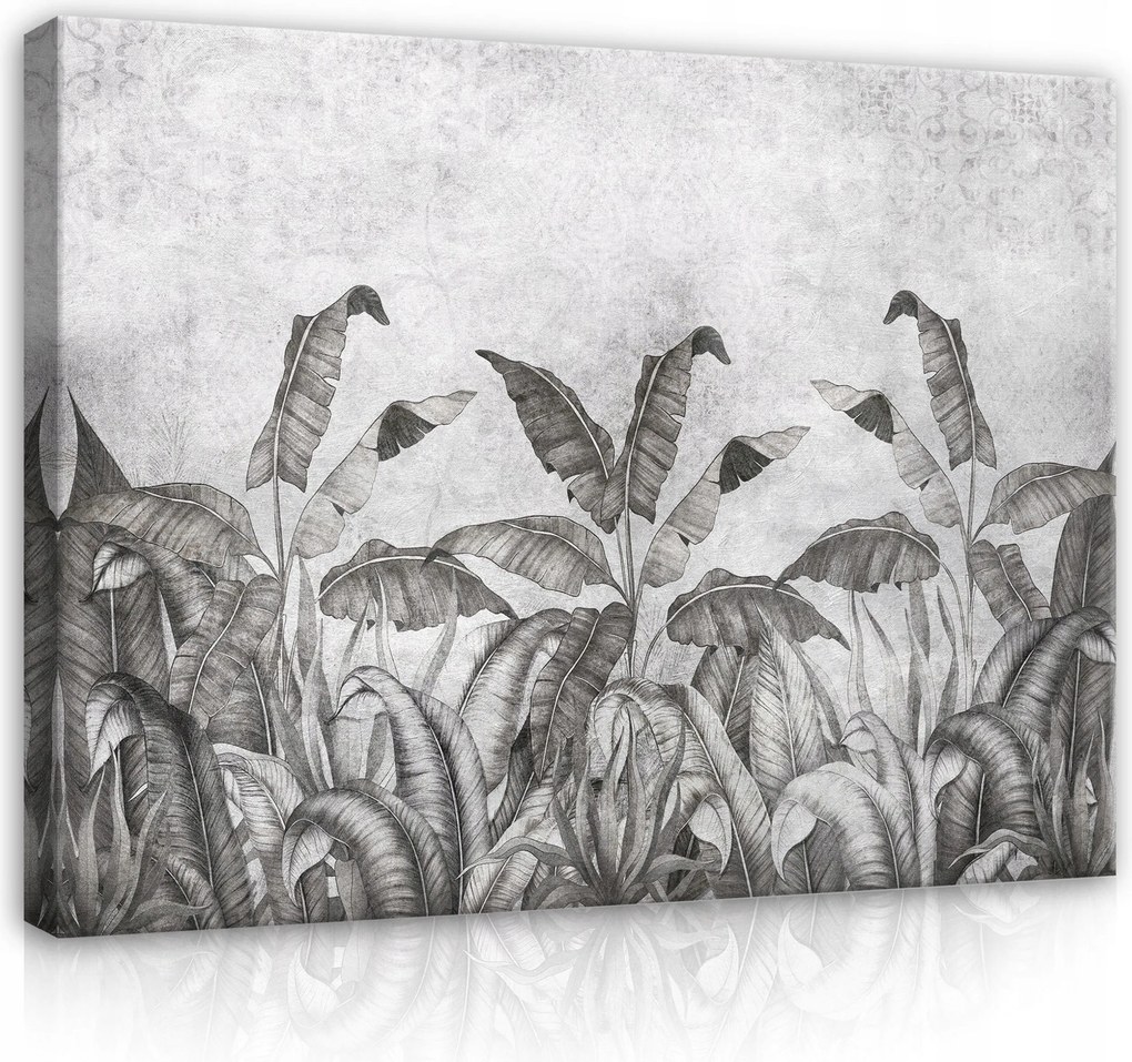 Vászonkép 120x80 Trópusi levelek monokróm grafika természet nyugalom