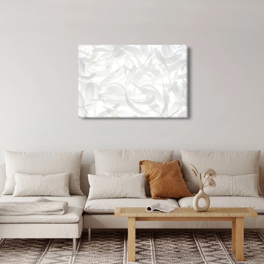 Kép - Szirmok (90x60 cm)